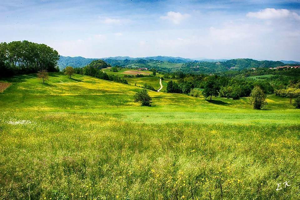 Aparthotel Ca Borgo Vecchio Brusasco Exteriér fotografie